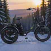 Трехколесный электровелосипед Fat Trike T Zima